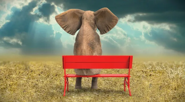 В моей церкви миссионер. Кто кому нужен?