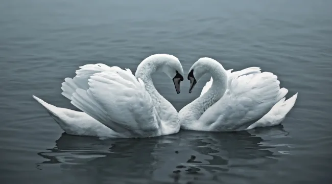 Правильный путь разрешения конфликтов. День 3 – Правильный путь