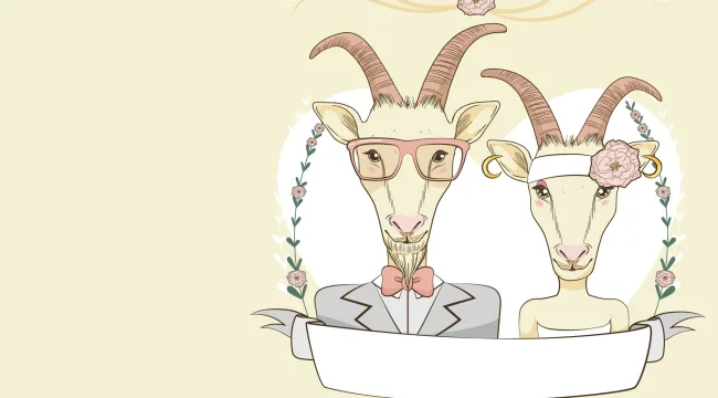 Вы никогда не женитесь на правильном человеке