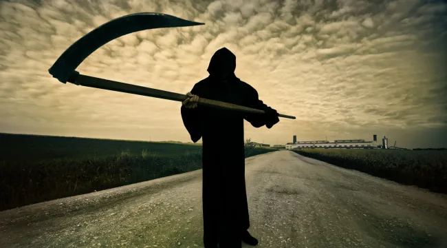 Не избегайте смерти