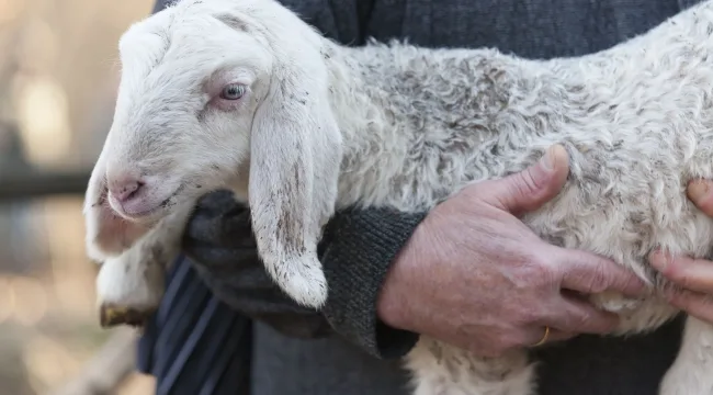 Как взаимоотношения с паствой влияют на проникновенность вашей проповеди?