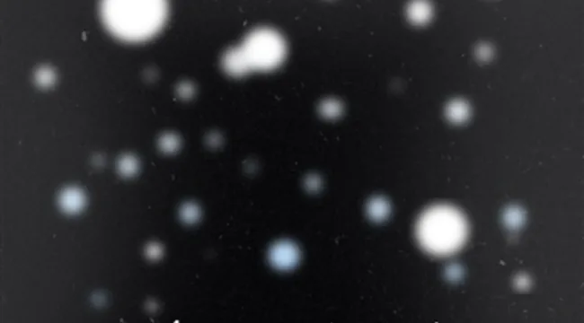 Christmas Collection 2013