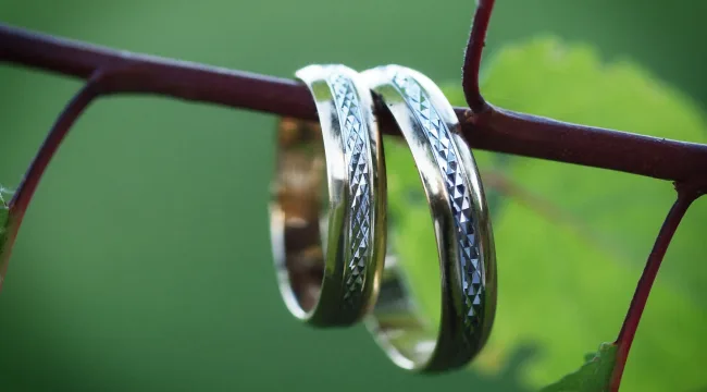 Сто вопросов (или около того) к влюбленным парочкам