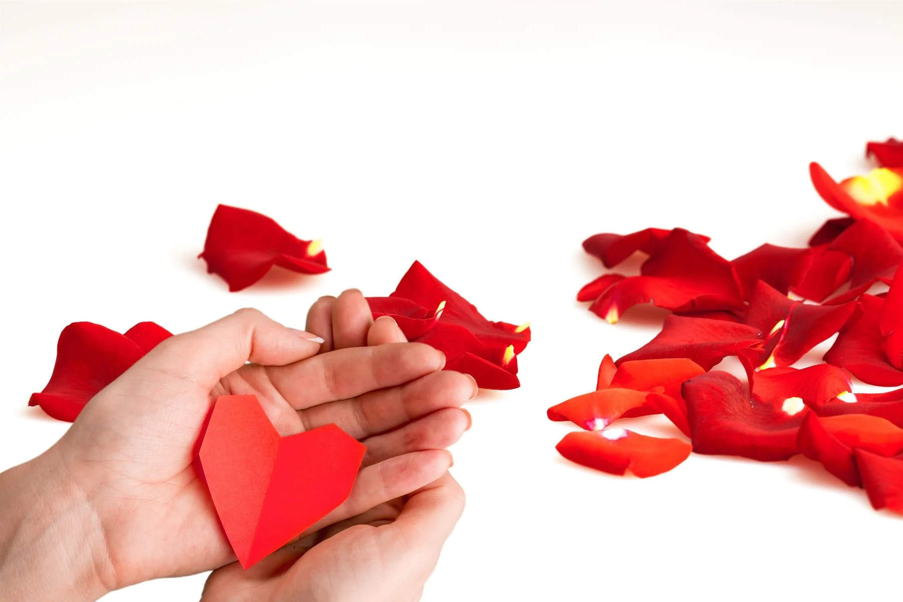 Прежде чем простить