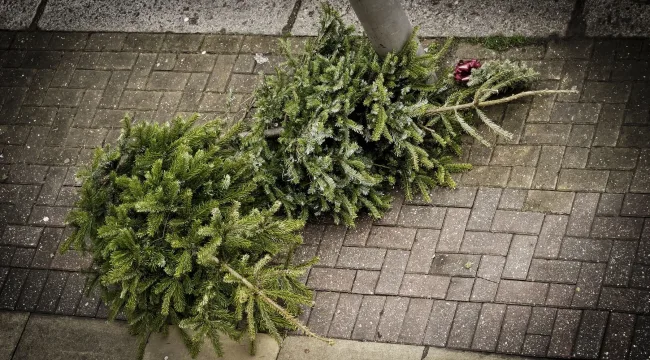 Когда и как праздновать Рождество