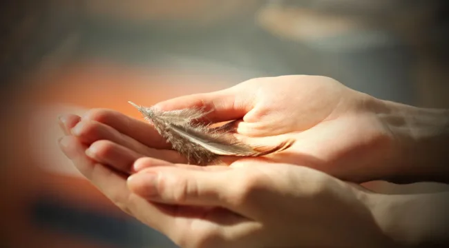 Перестаньте быть слишком чувствительными