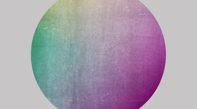 One Wild Life: Spirit