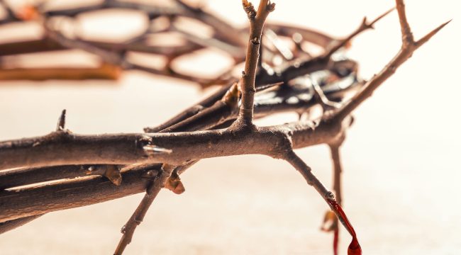 Дар страдать