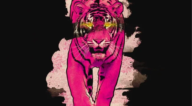 Playing Games With The Shadow