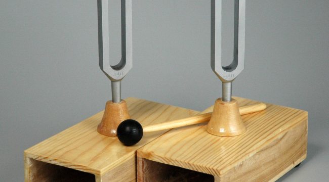 Всегда ли надо поступать так, как подсказывает нам совесть?