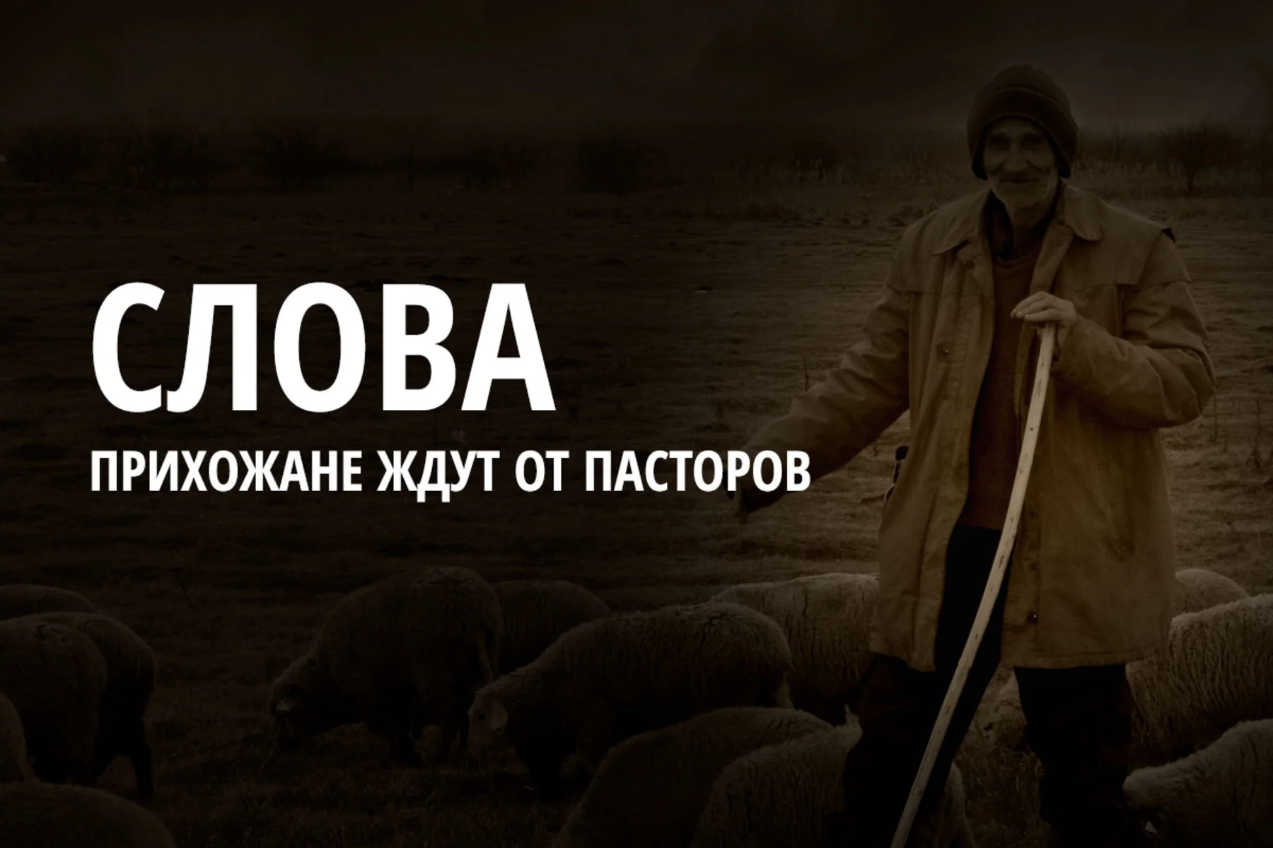 Слова, которые прихожане ждут от своих пасторов.