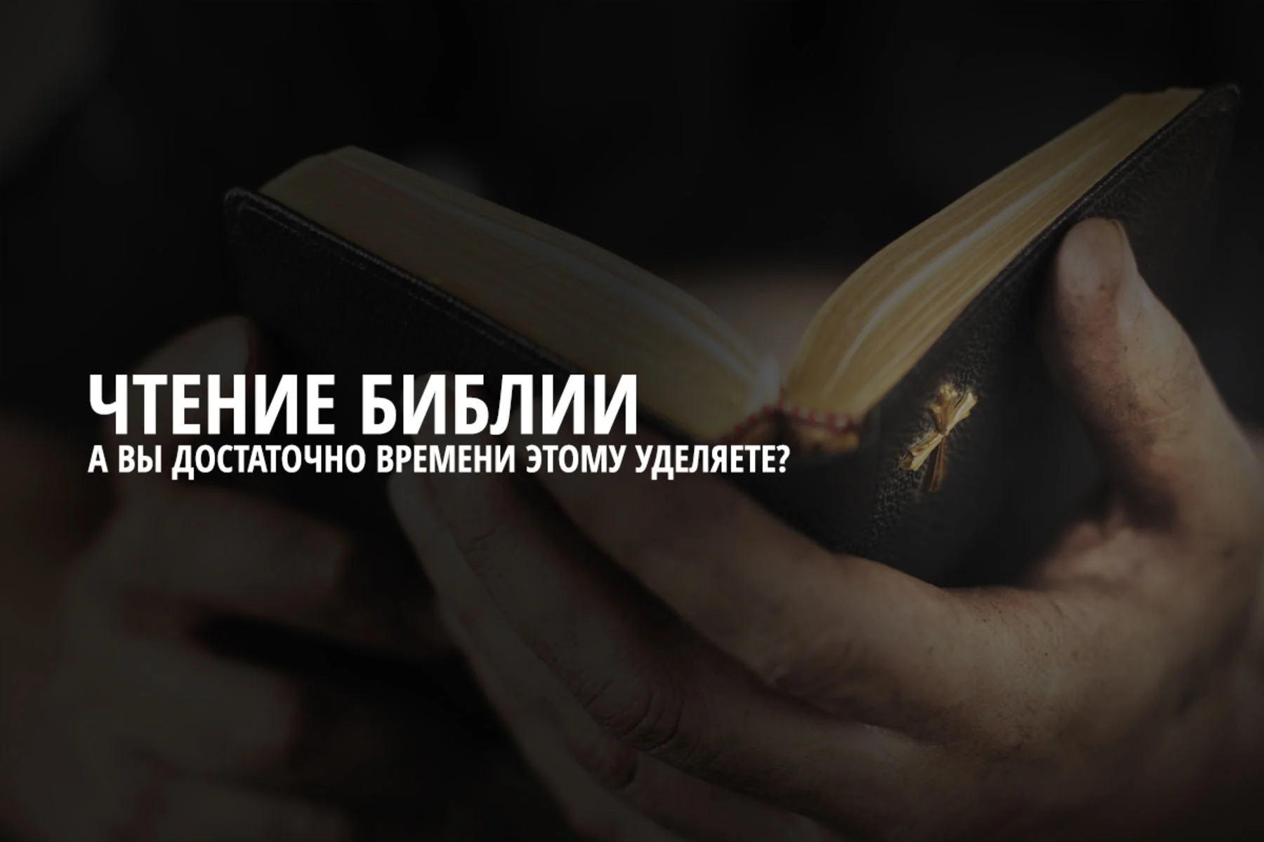 Читаете ли вы Библию в достаточной мере?