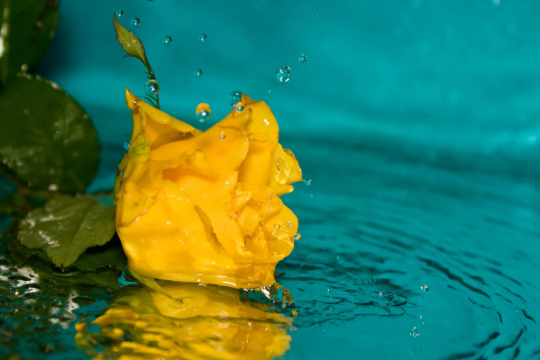 Удивленный благодатью