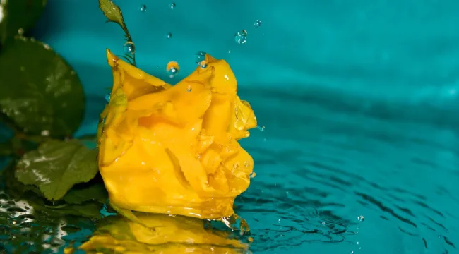 Удивленный благодатью