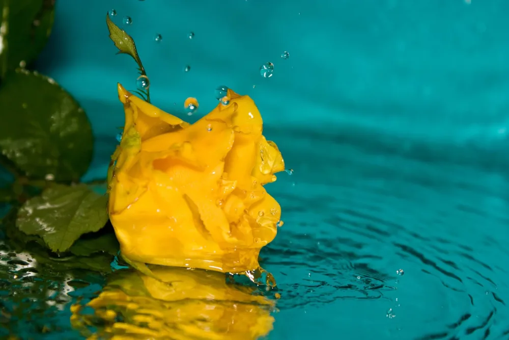 Удивленный благодатью