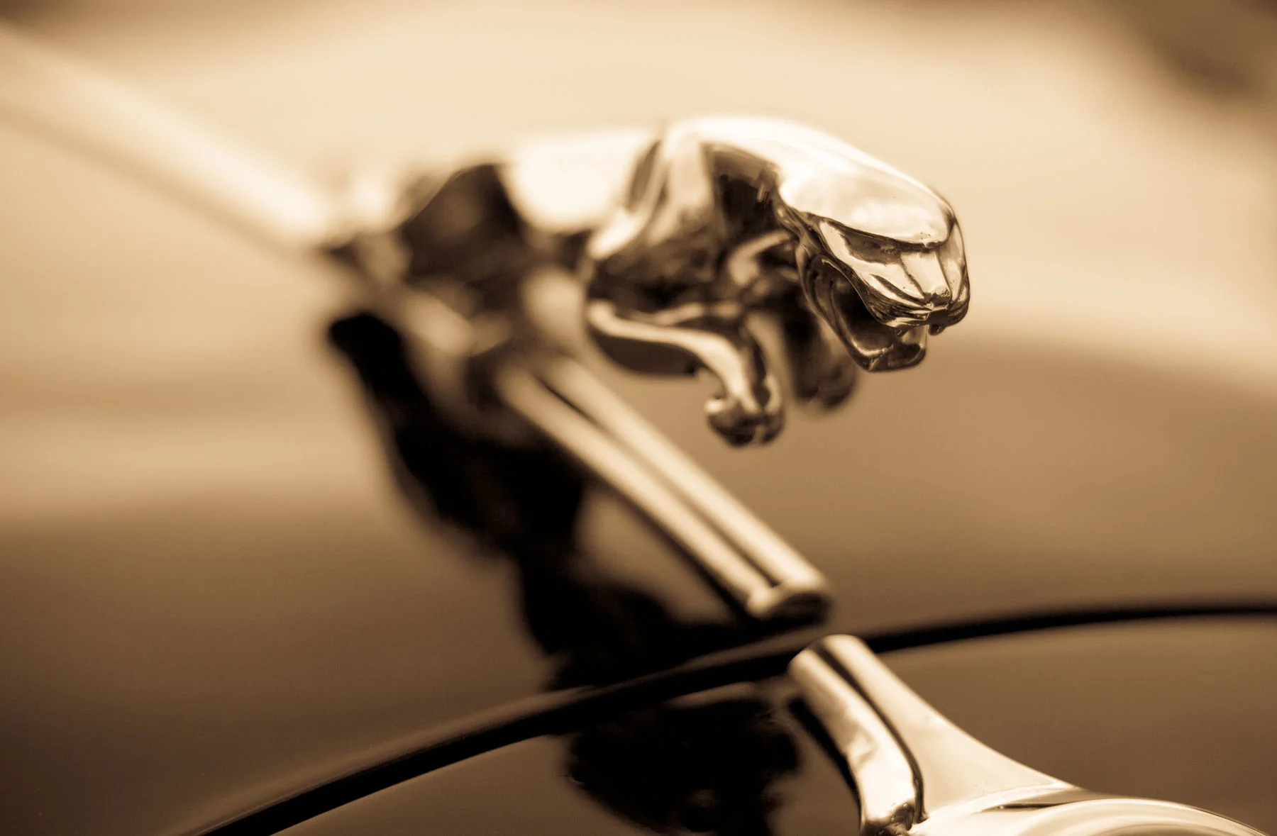 Новая жизнь? Дайте две!