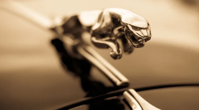 Новая жизнь? Дайте две!