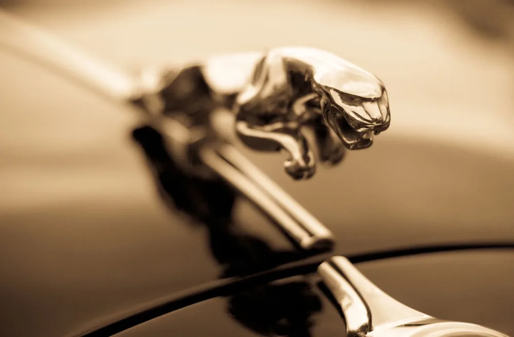 Новая жизнь? Дайте две!