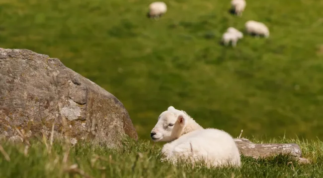 Для чего отлучать тех, кто давно не ходит в церковь?