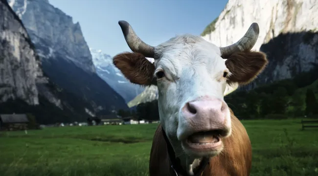 Ради вашего брака стоит потрудиться