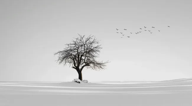 Когда Пасхальный пост – больше, чем пост