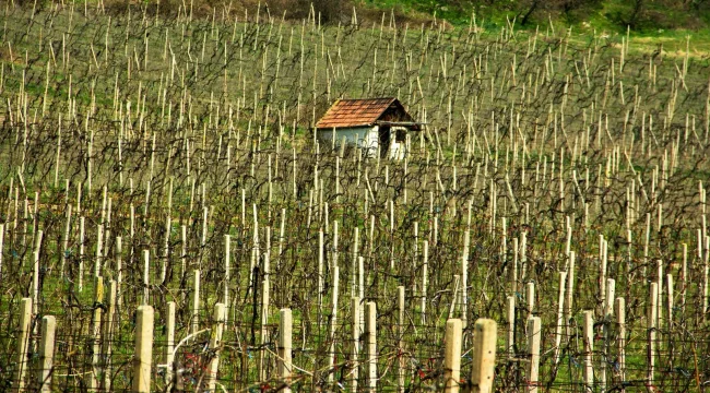 Из бездумного от христиан: «Бог пошлет!»