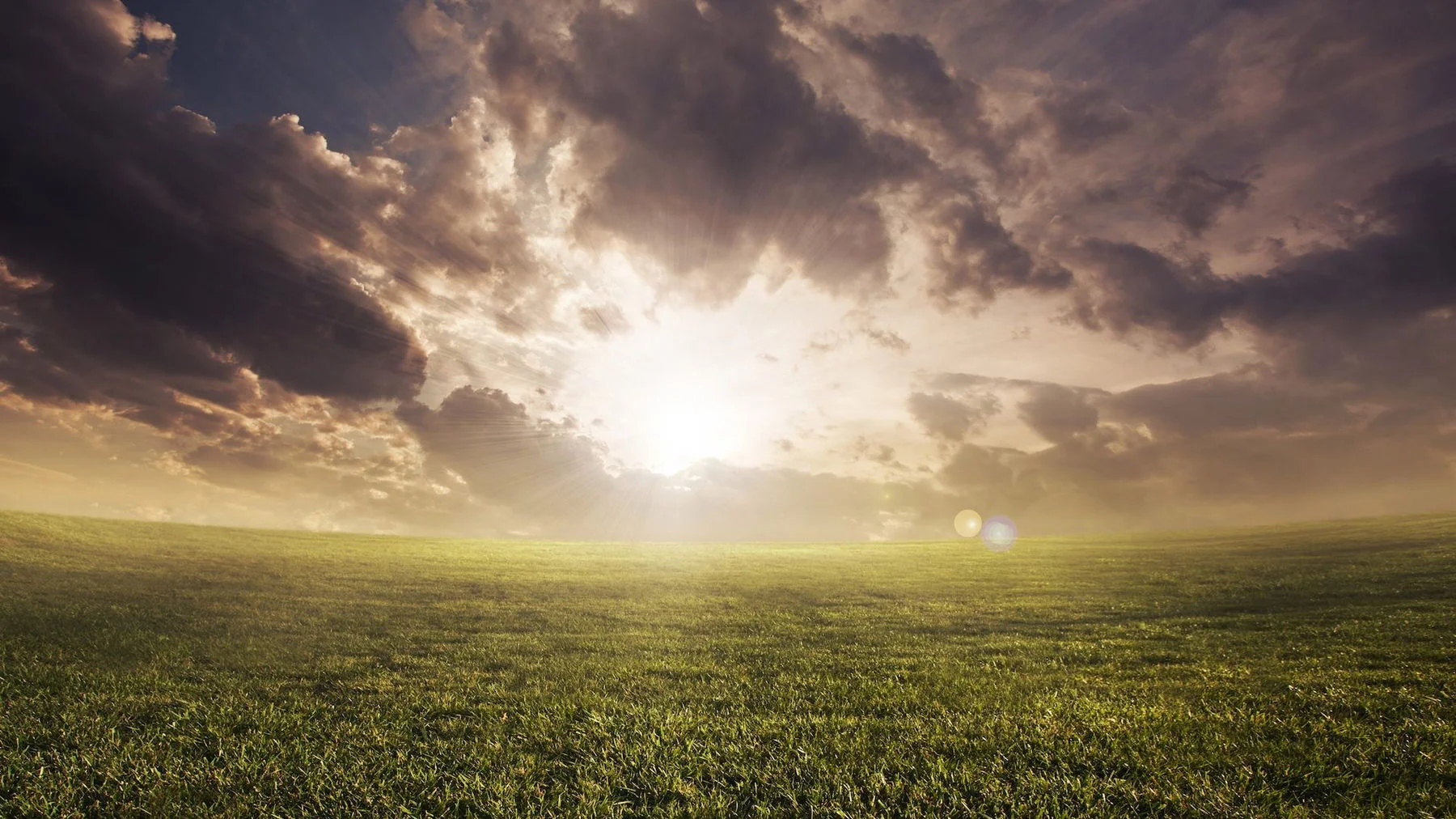 Задумайтесь об этом: «что́ только добродетель»