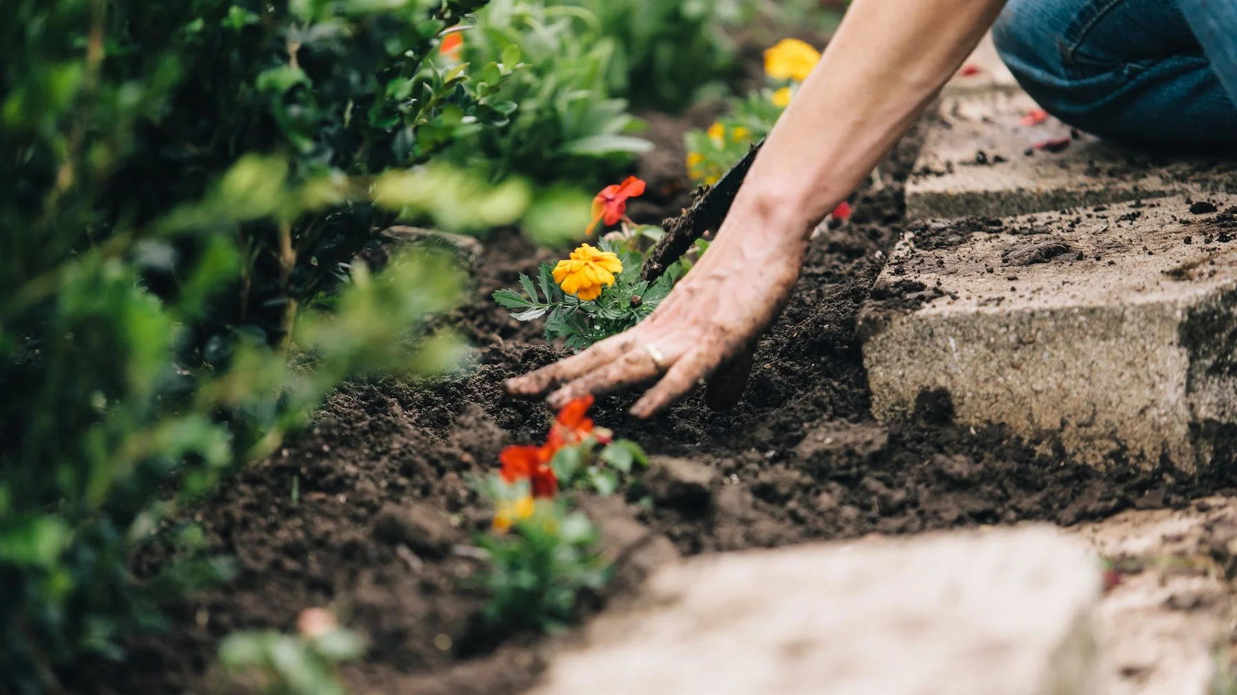 Задумайтесь об этом: «что́ любезно»