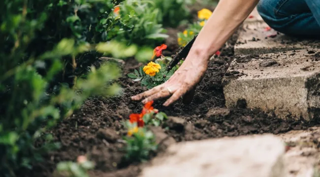 Задумайтесь об этом: «что́ любезно»