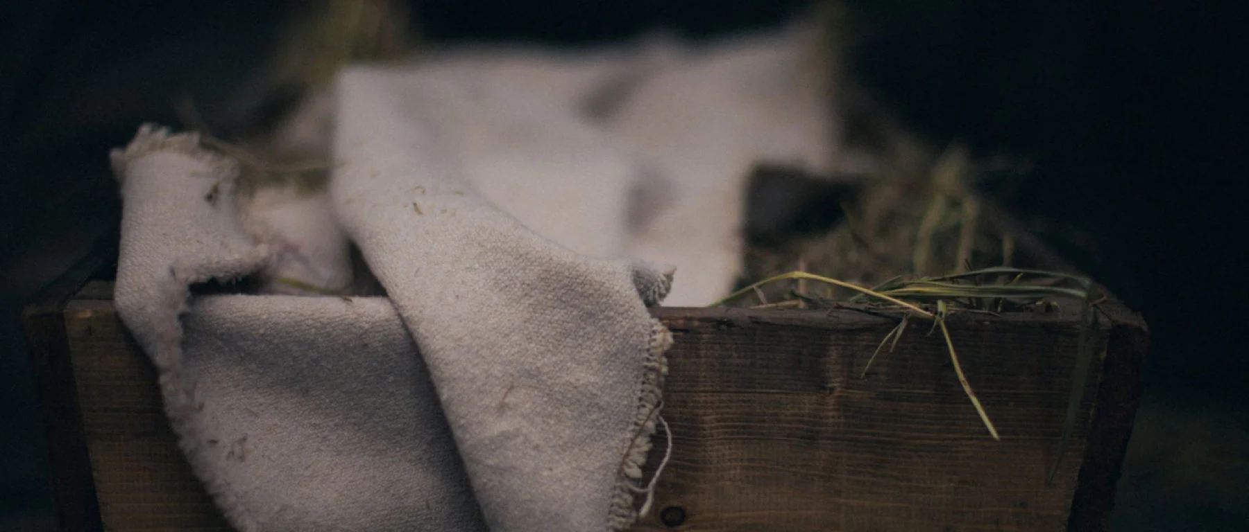 Он лежал в яслях, не покидая небес