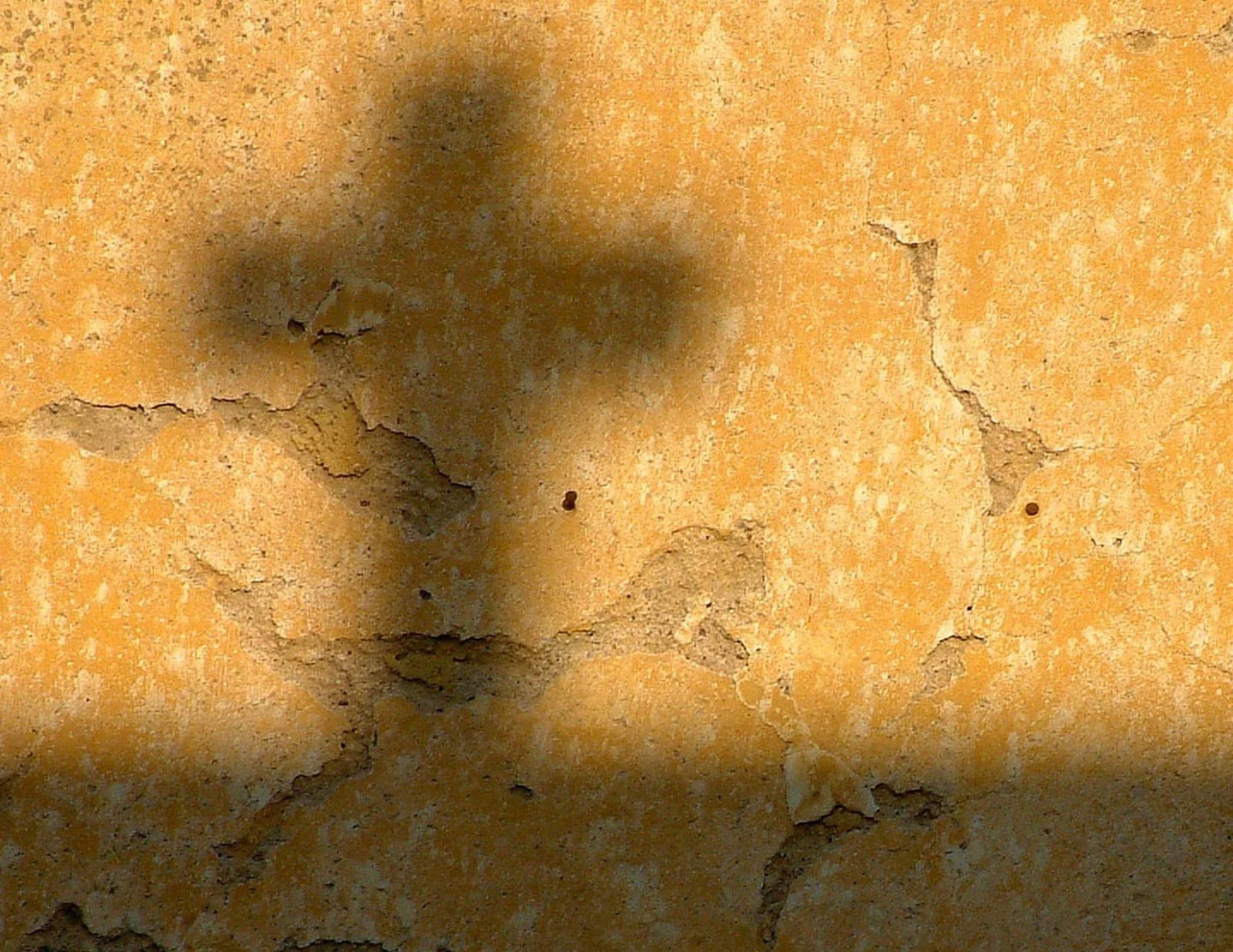 О христианах постящихся (и не постящихся)