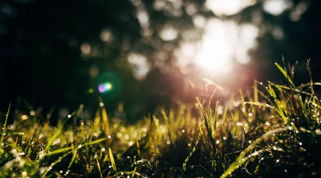 Контекстуализируем Тима Келлера