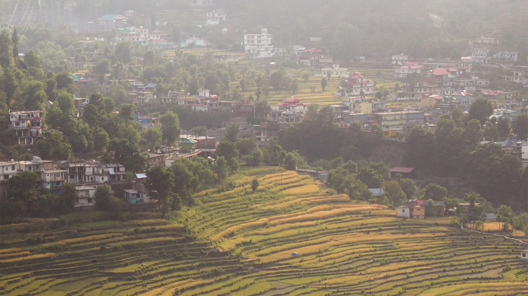 Великое поручение, которое мы упускаем из виду