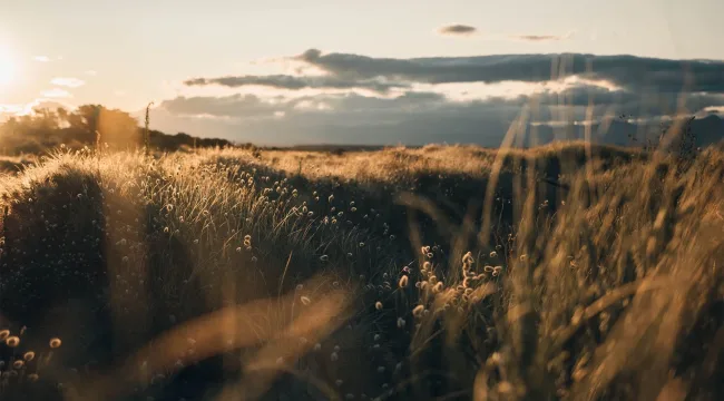 20 цитат Брайана Чапелла о благодати в труде