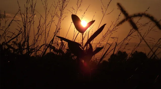 40-летний Моисей против 80-летнего Моисея