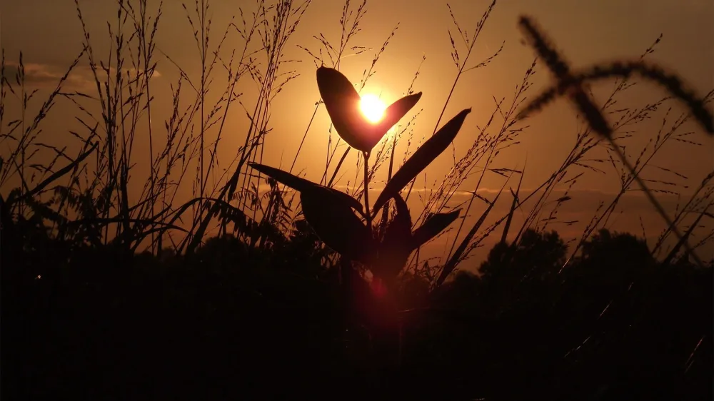 40-летний Моисей против 80-летнего Моисея