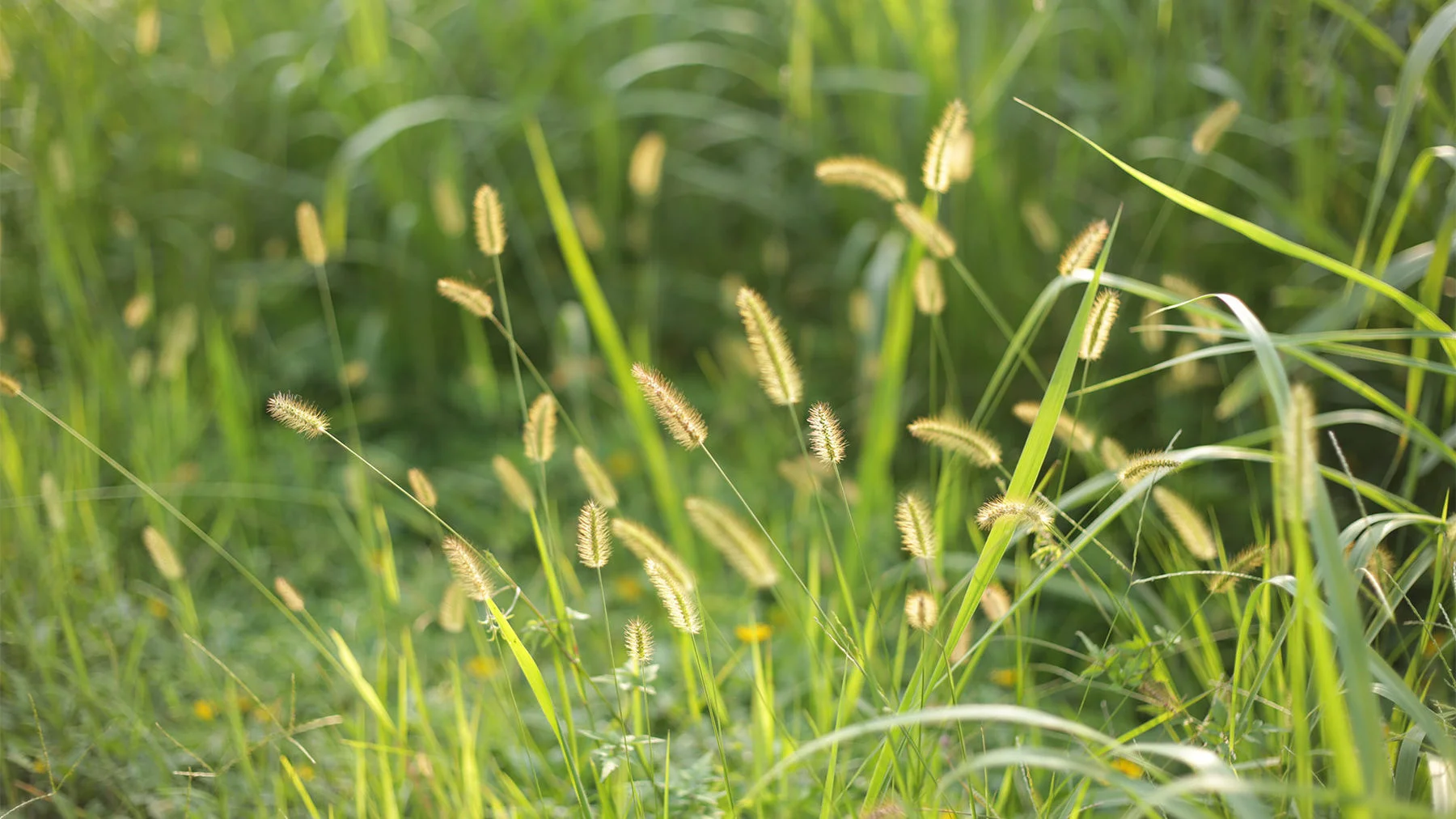 20 цитат об Иисусе и женщинах от Ребекки Маклафлин