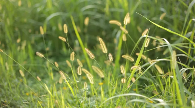 20 цитат об Иисусе и женщинах от Ребекки Маклафлин