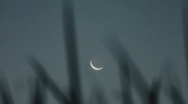 Почему моя жизнь должна быть трудной?