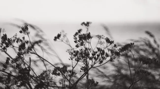 4 утешения для беспокойных христиан