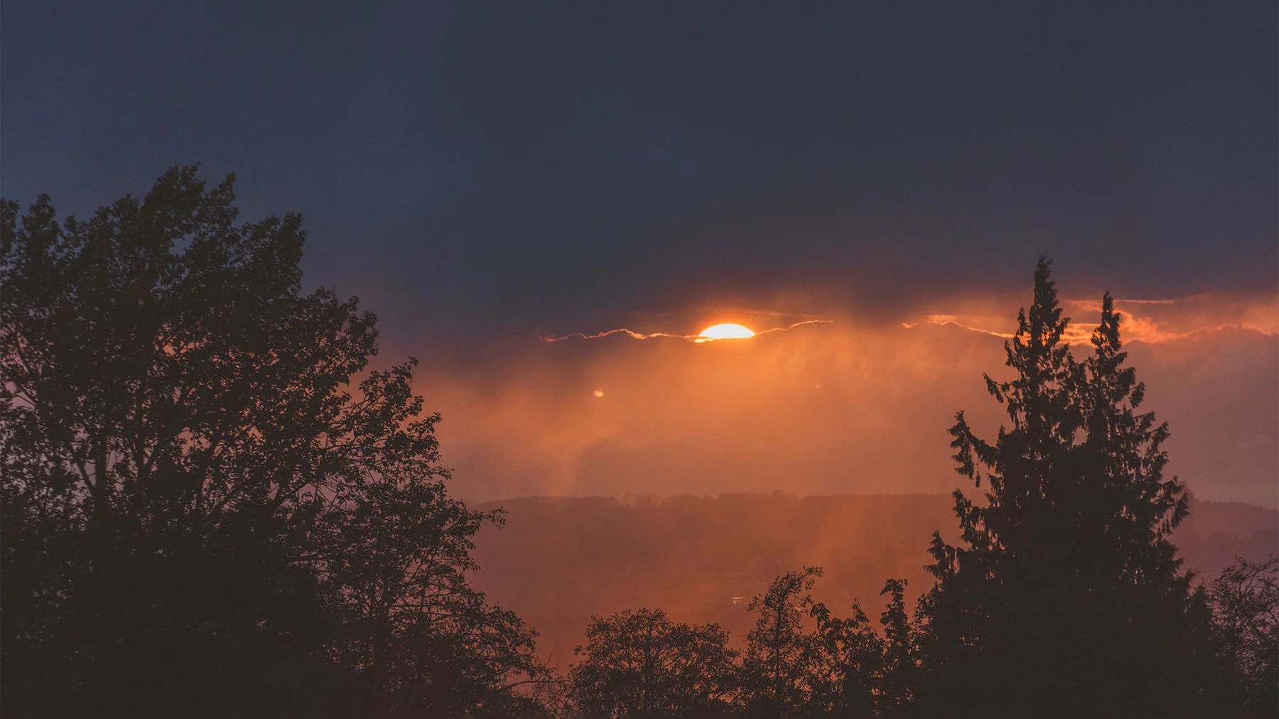 Да, дети могут учиться на примере Откровения