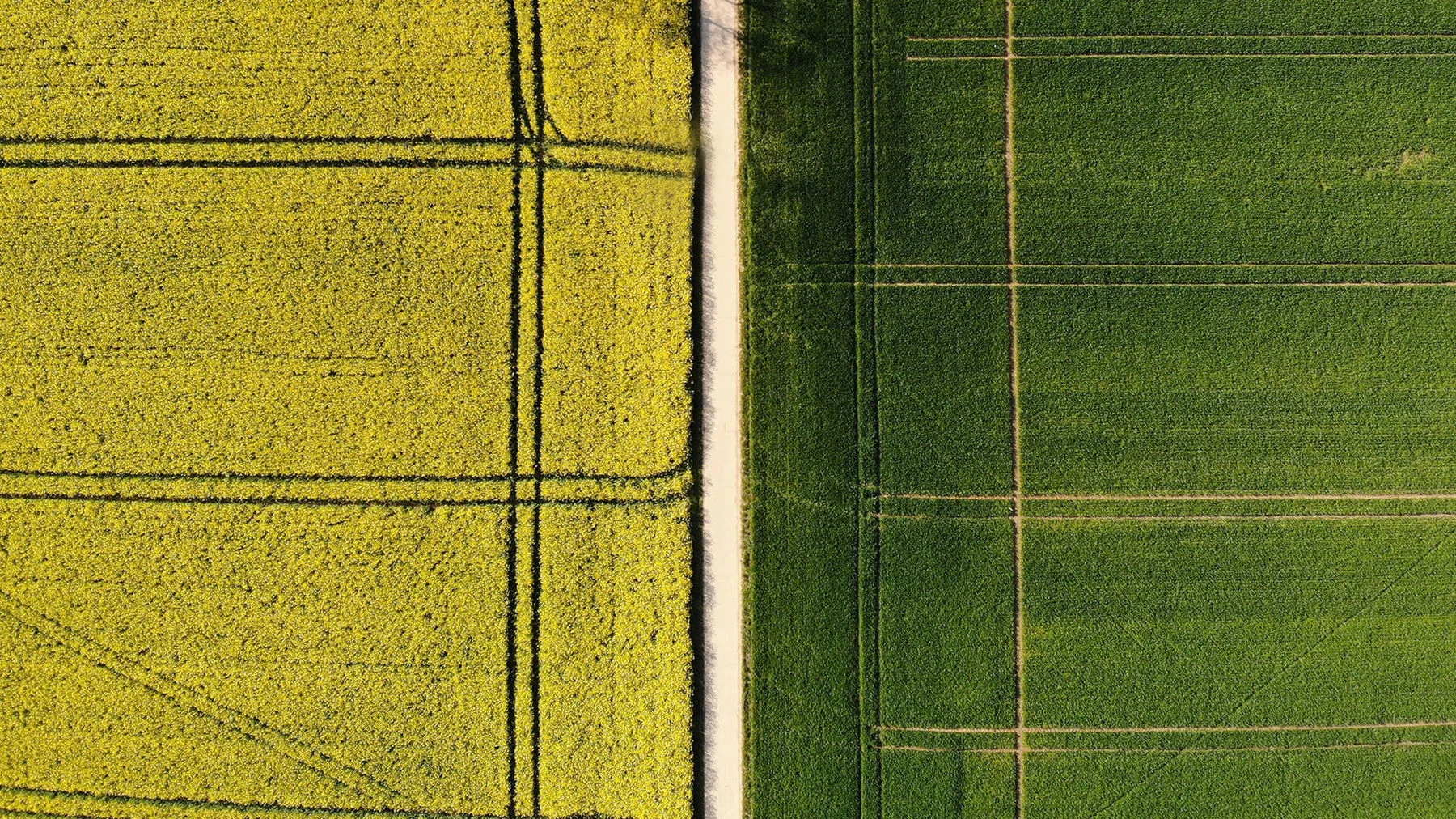 Почему богословы гневаются?