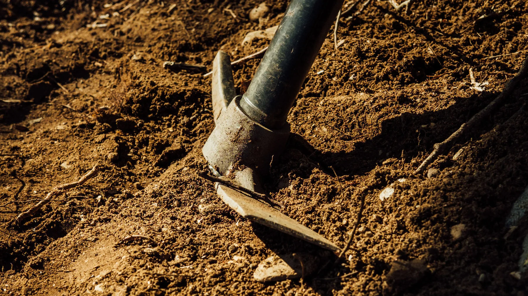 Джон Пайпер о природе спасающей веры