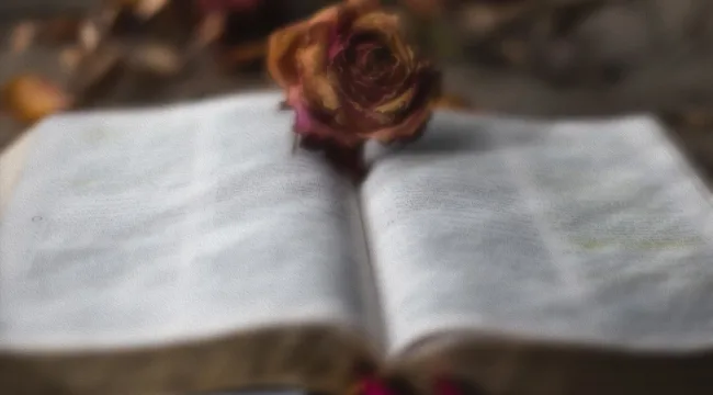 Книга Чисел 5: несправедливо по отношению к женщинам?