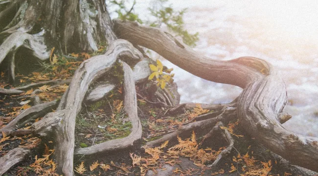 Как определить, благословлены ли вы