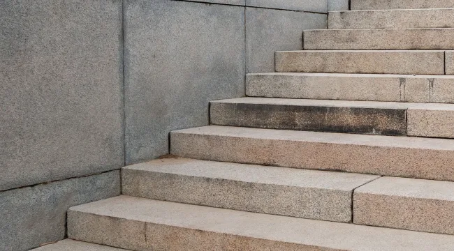 Как сварить лягушку