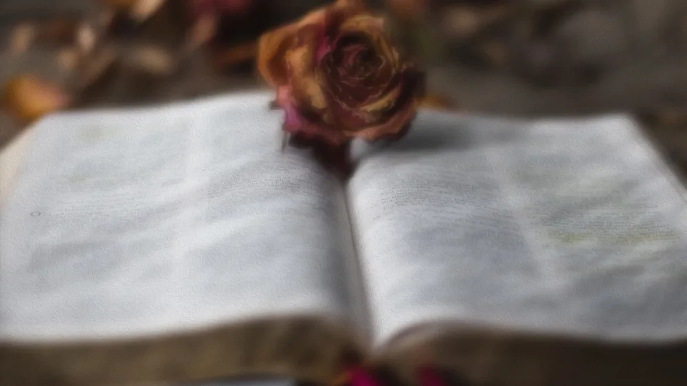 Книга Чисел 5: несправедливо по отношению к женщинам?