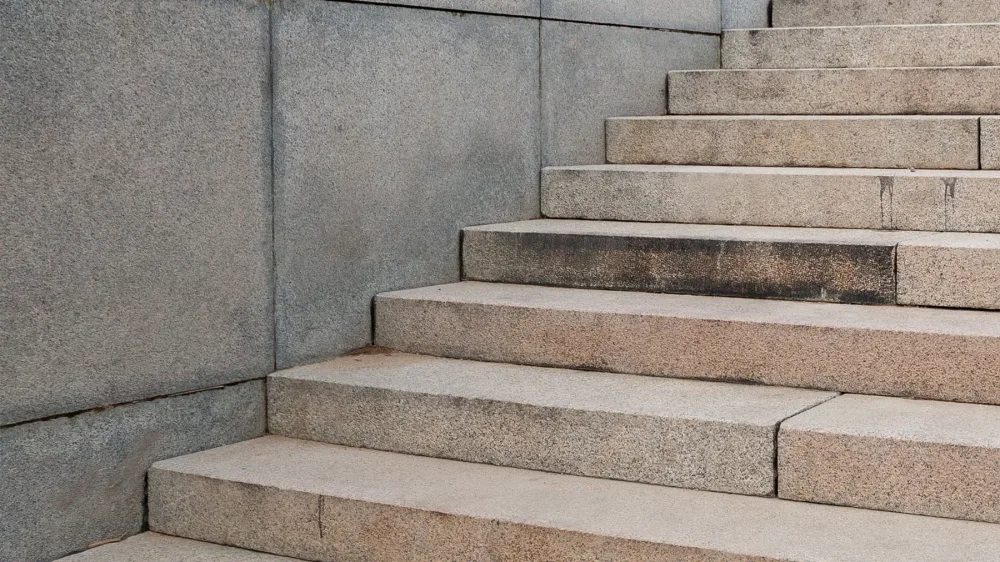 Как сварить лягушку