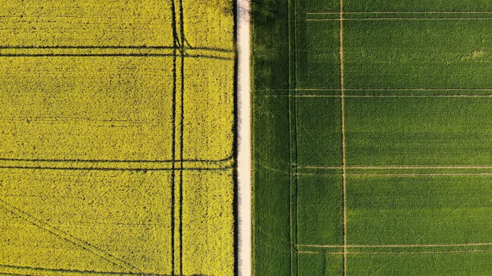 Почему богословы гневаются?