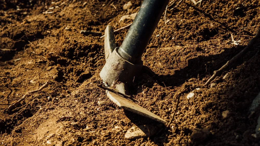 Джон Пайпер о природе спасающей веры